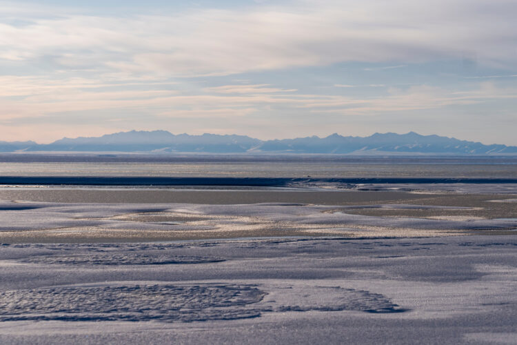Trump administration finalizes plan to open pristine Alaska wildlife refuge to oil and gas drilling
